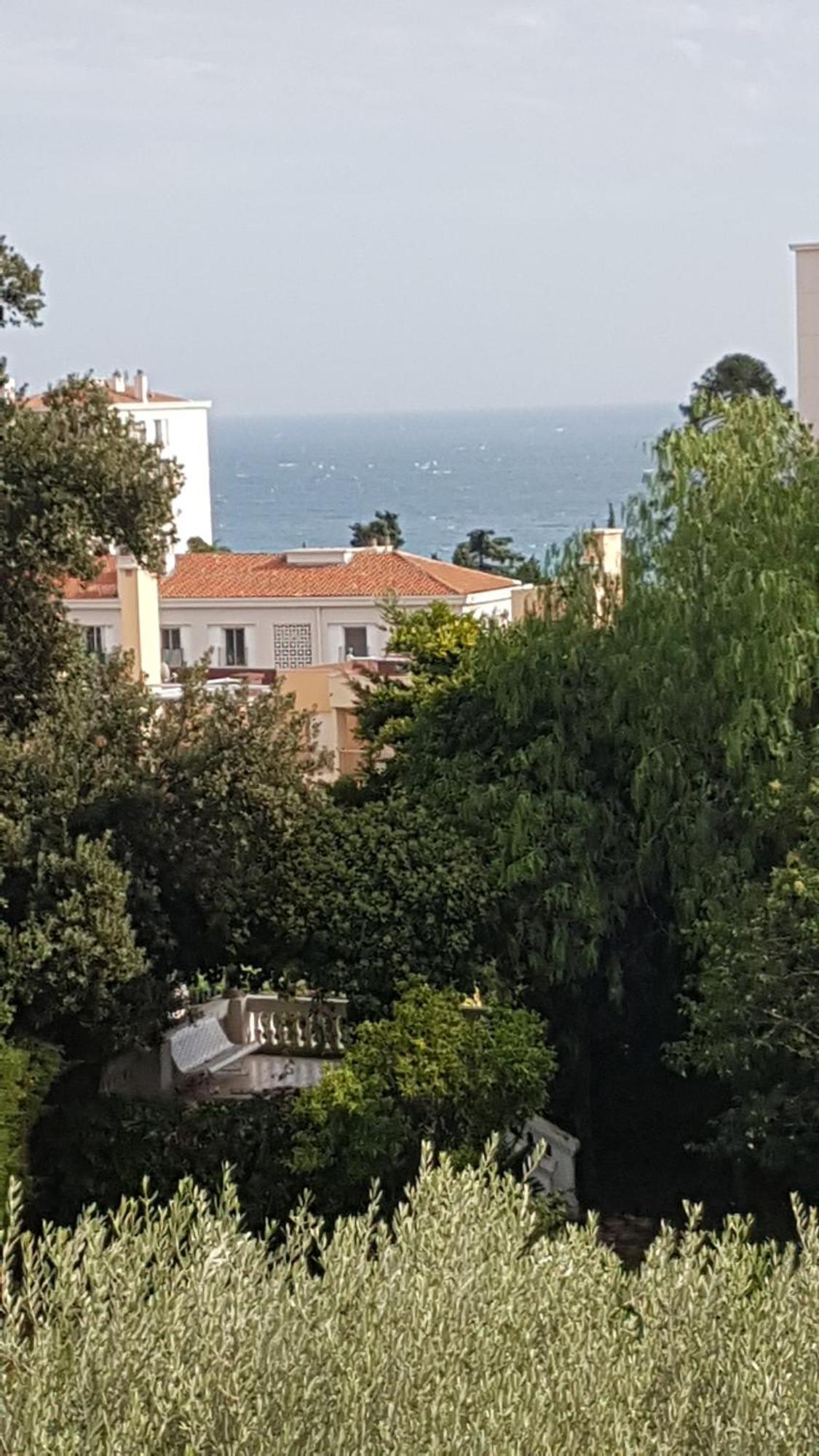 Les Palmiers A 700M De La Mer Nice Bilik gambar