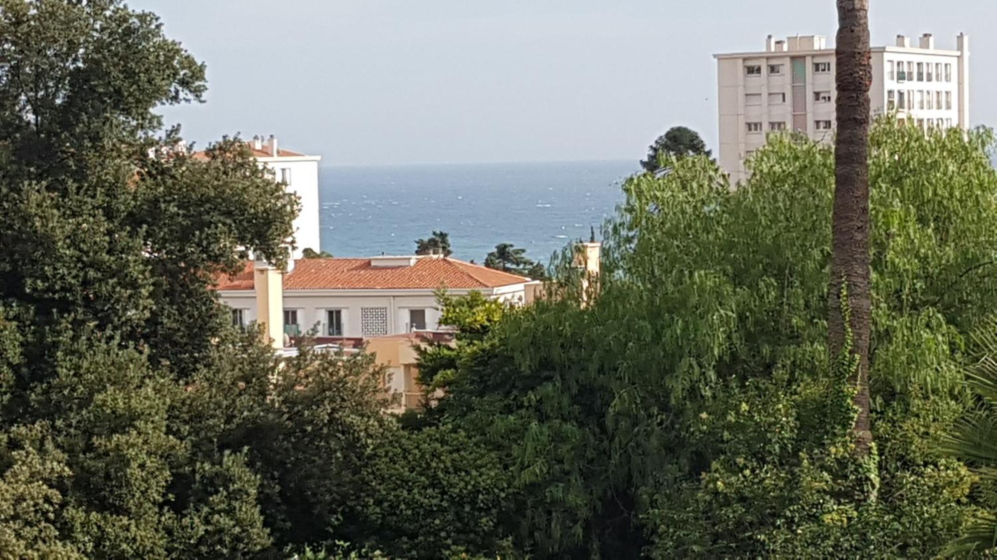 Les Palmiers A 700M De La Mer Nice Bilik gambar