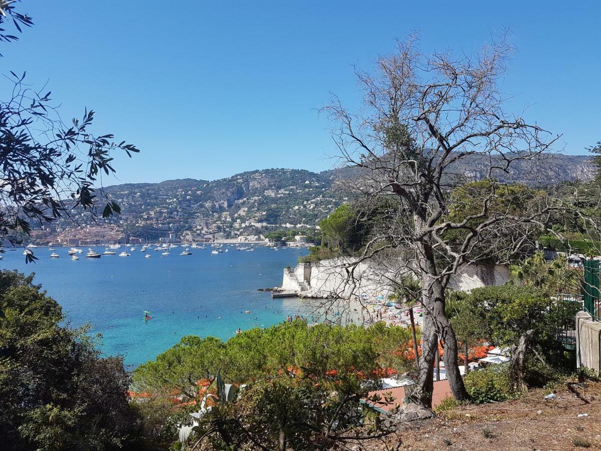Les Palmiers A 700M De La Mer Nice Luaran gambar